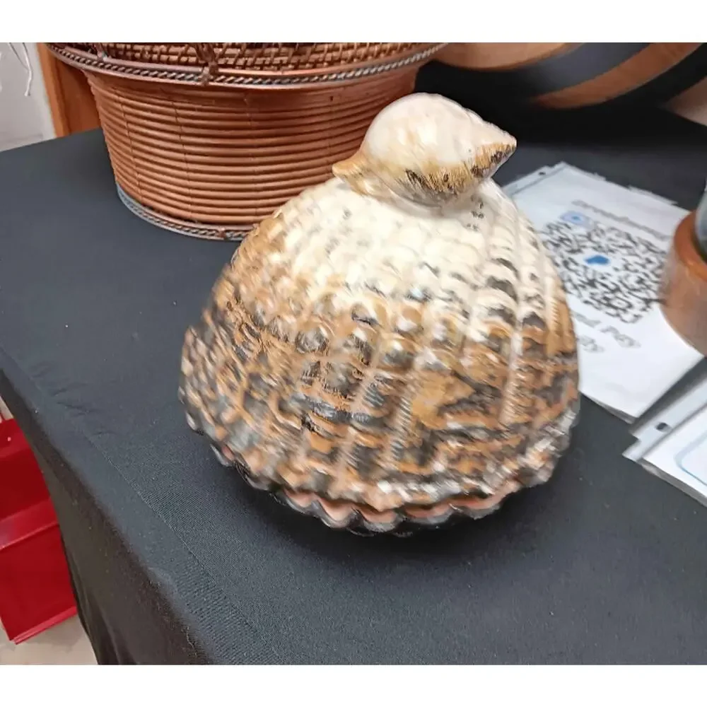 Ethan Allen Sea Shell Trinket Soap Dish Ceramic Made In Italy Ornate